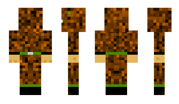 Minecraft skin ashplay