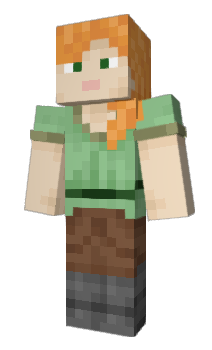 Minecraft skin villd