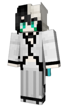 Minecraft skin KaaiZer