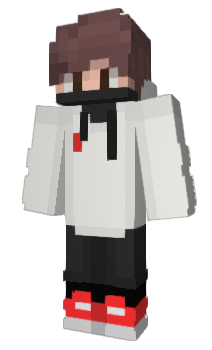 Minecraft skin vasthat