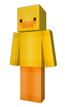 Minecraft skin W00RI