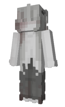 Minecraft skin peepeemegadoodoo