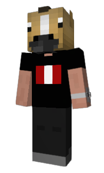 Minecraft skin Tom_mjj