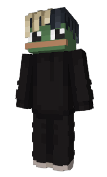 Minecraft skin Roxi__Games