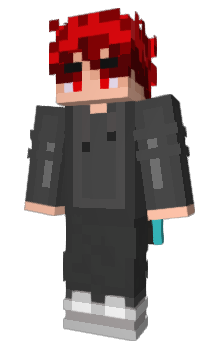 Minecraft skin robin7_