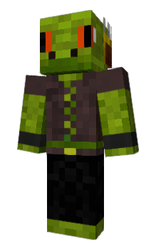 Minecraft skin Vayro