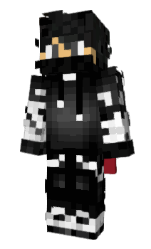 Minecraft skin 2822