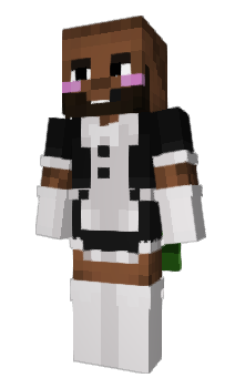 Minecraft skin SPY3DER