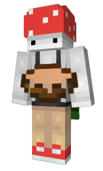 Minecraft skin RastlMine