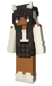 Minecraft skin aerica