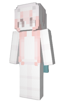Minecraft skin spraynyan