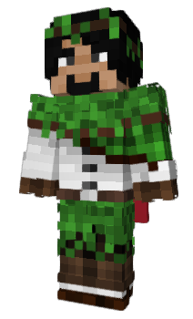 Minecraft skin h1ghway_cf