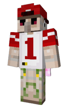 Minecraft skin Matchles