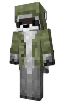 Minecraft skin VeiledVigilante