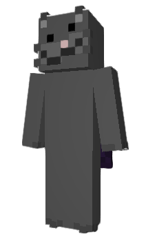 Minecraft skin qay