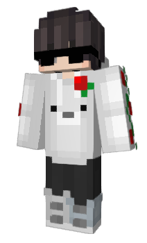 Minecraft skin theNotorio