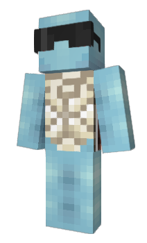 Minecraft skin PokemonBleu