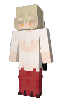 Minecraft skin DoctorOnion