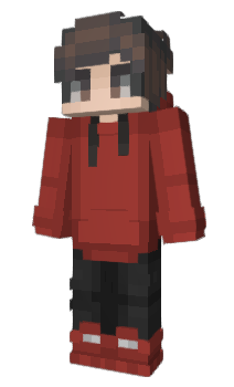 Minecraft skin 1vin