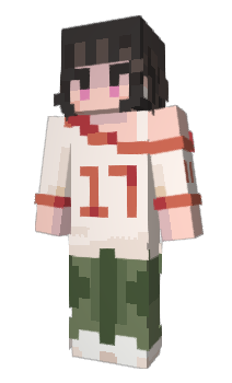 Minecraft скин по нику 1snL