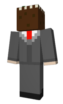 Minecraft skin JCCR