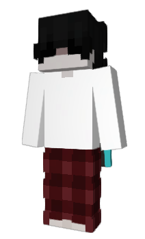 Minecraft skin internor