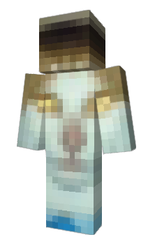 Minecraft skin Agataa230