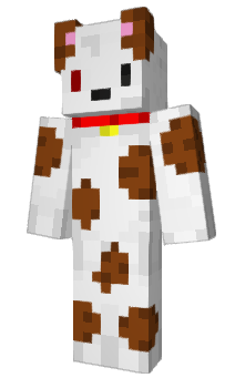 Minecraft skin R302