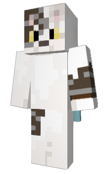 Minecraft скін по ніку netlify
