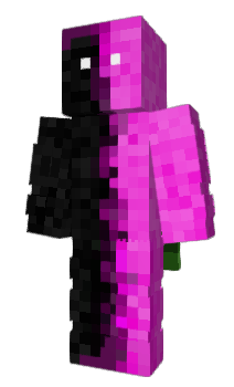 Minecraft skin naitpleyer