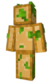 Minecraft skin Atipi