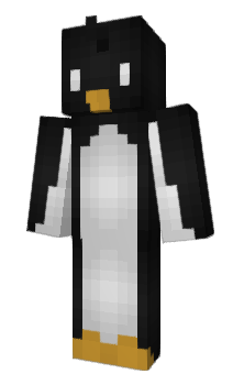 Minecraft skin MINCERFT