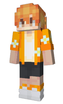 Minecraft skin LuffyN