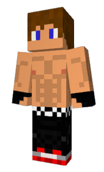 Minecraft skin Pcoe