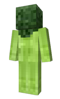 Minecraft skin SN22