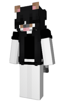 Minecraft skin vnsssa