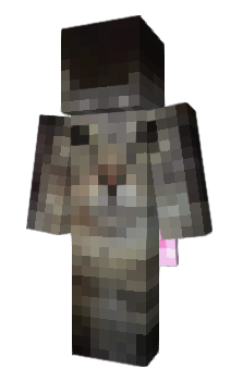 Minecraft skin Xalt