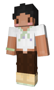 Minecraft skin starlop