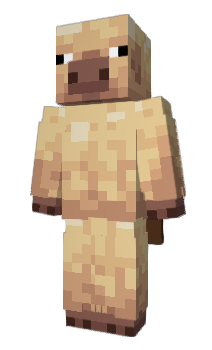 Minecraft скин по нику Bemcik11