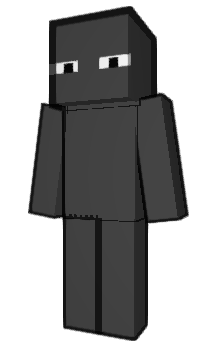 Minecraft skin ffil