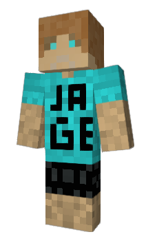 Minecraft skin T4P4