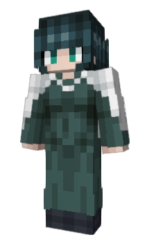 Minecraft skin leonakingscholar