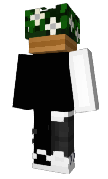 Minecraft скин по нику der_rohrverleger