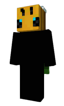 Minecraft skin MiniBeez1