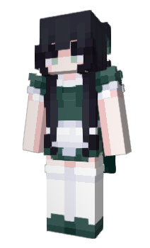 Minecraft skin Roam