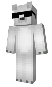 Minecraft skin Ravvon