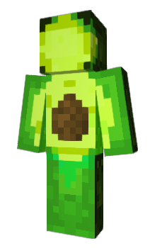 Minecraft skin ChoraPR