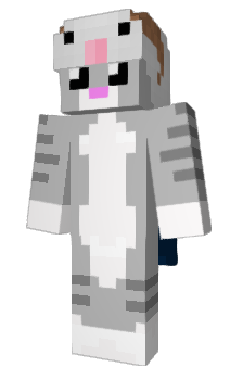 Minecraft skin Acryze