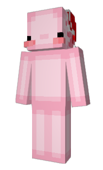 Minecraft skin Bugella