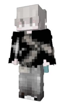 Minecraft skin lange
